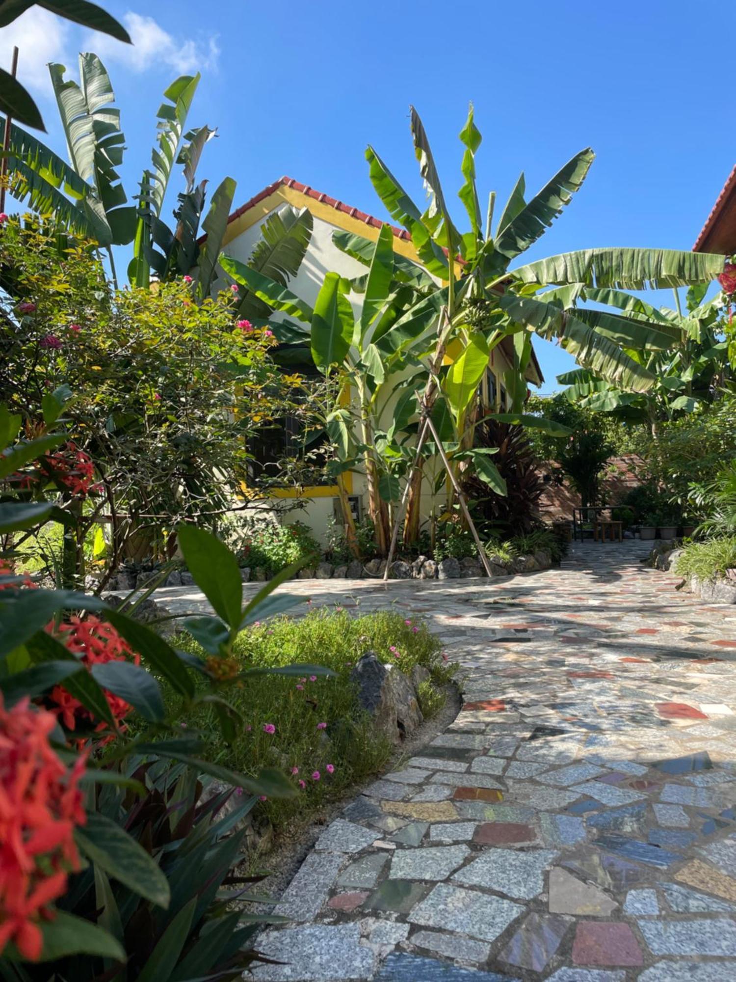 Ninh Binh Royal Homestay المظهر الخارجي الصورة