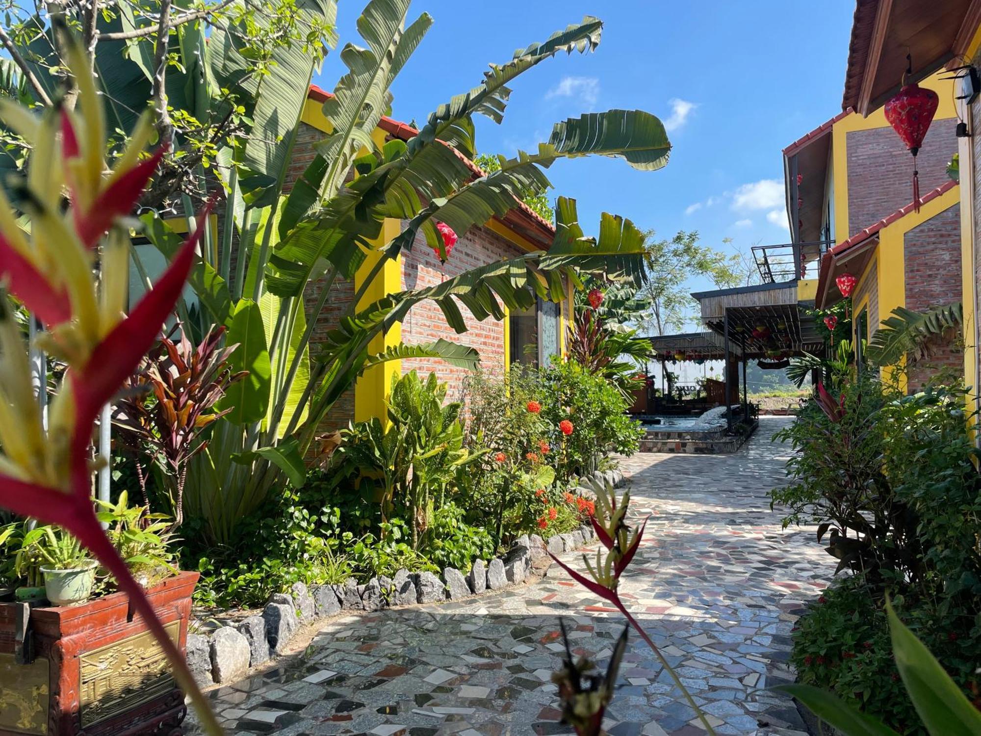 Ninh Binh Royal Homestay المظهر الخارجي الصورة